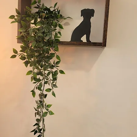 Apartamento Loft Con Encanto *