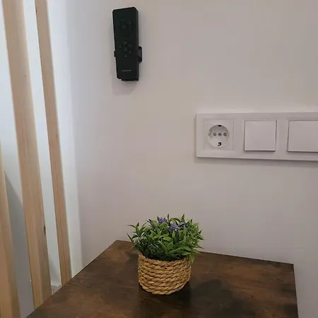 Апартаменты Loft Con Encanto *